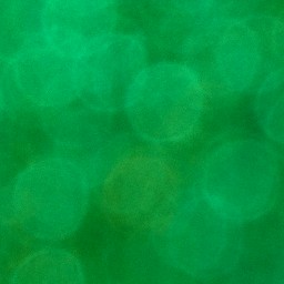 Bokeh-425
